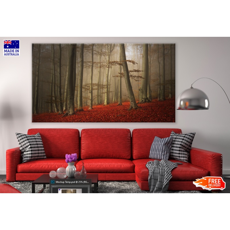 Autumn Forest Misty Photograph Print 100% Australian Made