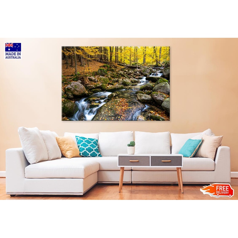Autumn Forest With Rocky River Print 100% Australian Made