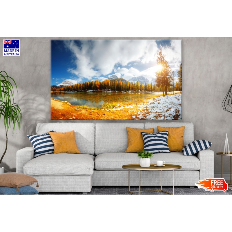 Autumn Tree Forest Scenery View Photograph Print 100% Australian Made