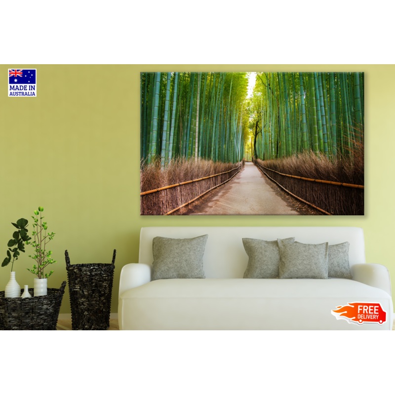 Bamboo Trees Street Photograph Print 100% Australian Made