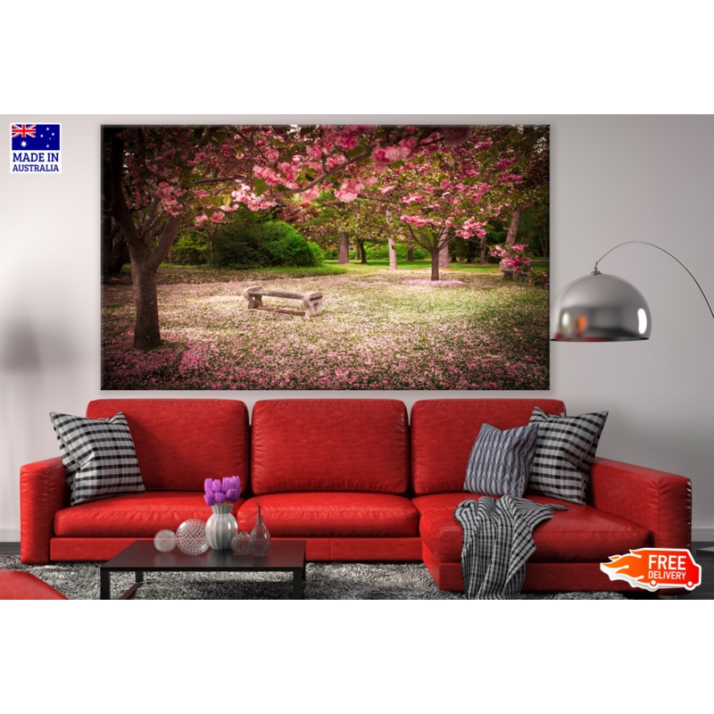 Bench Under Cherry Blossom Trees Floral Rain Photograph Print 100% Australian Made