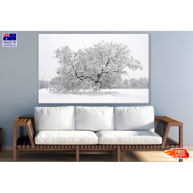 Tree Covered With Snow Photograph Print 100% Australian Made