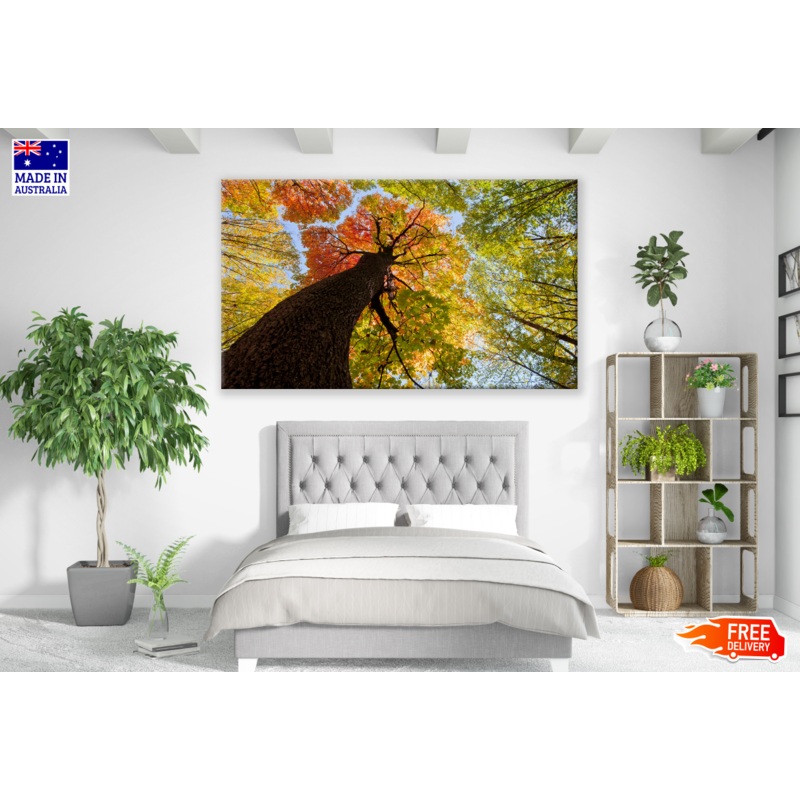 Tree with Colourful Leaves Print 100% Australian Made