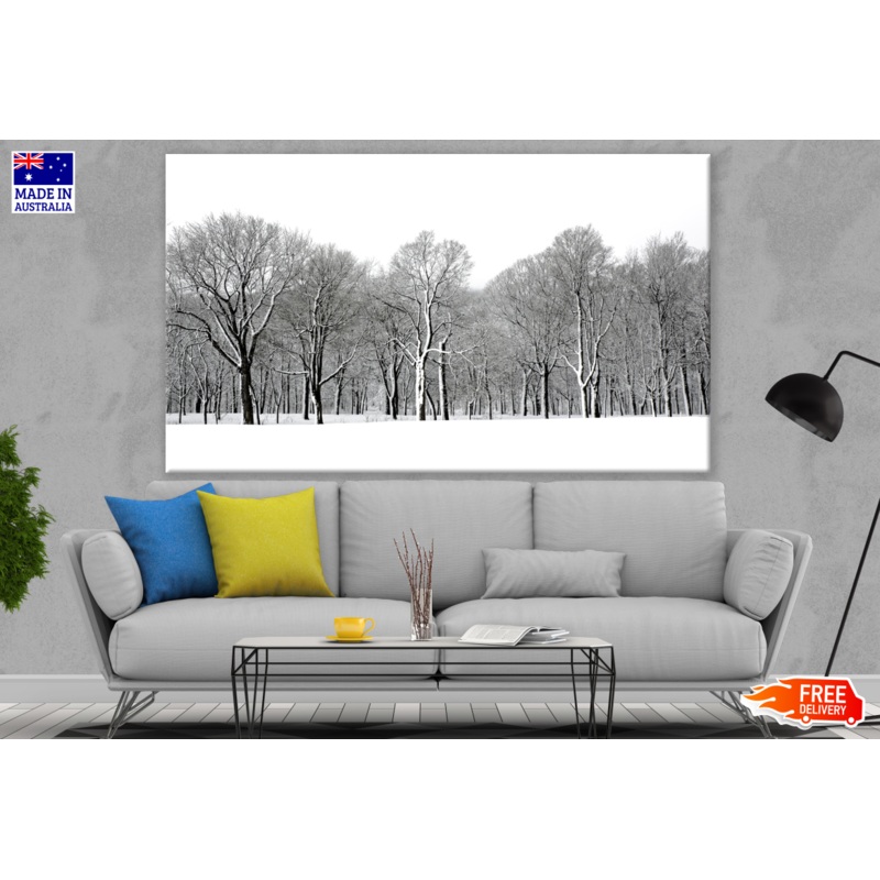 Trees Covered With Snow Photograph Print 100% Australian Made