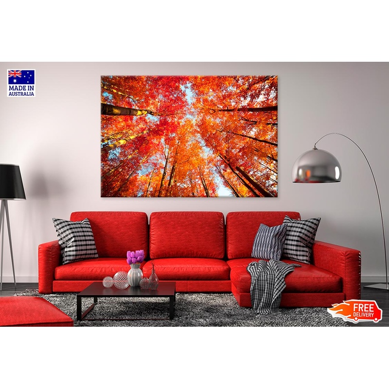 Trees In The Autumn Forest Print 100% Australian Made