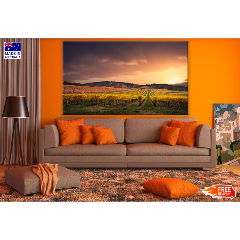 Vineyard in Sunset Photograph Print 100% Australian Made