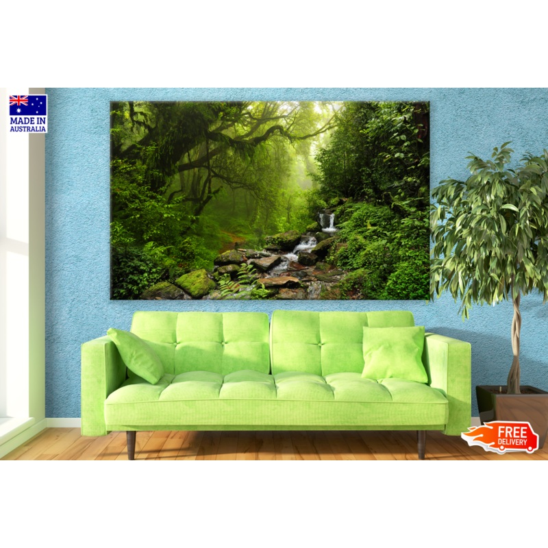 Water Stream in Deep Forest Trees Photograph Print 100% Australian Made