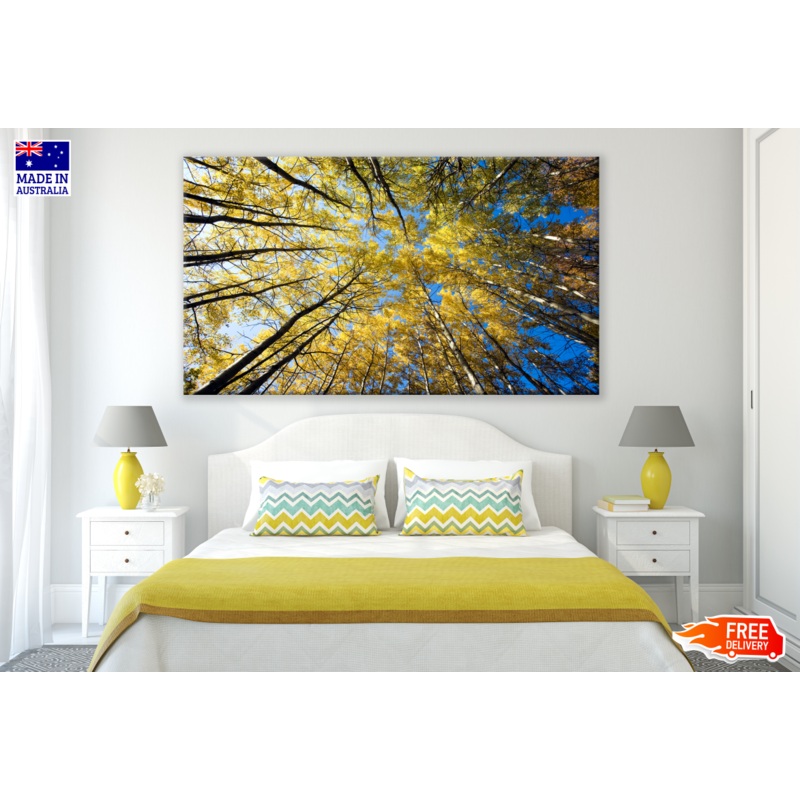 Yellow Leafy Trees View From Ground Photograph Print 100% Australian Made