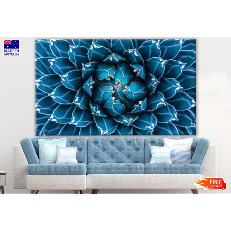 Agave Cactus Plant Closeup Photograph Print 100% Australian Made