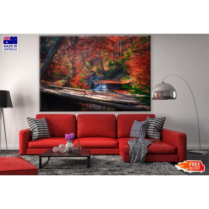 Autumn Deep Forest Photograph Print 100% Australian Made