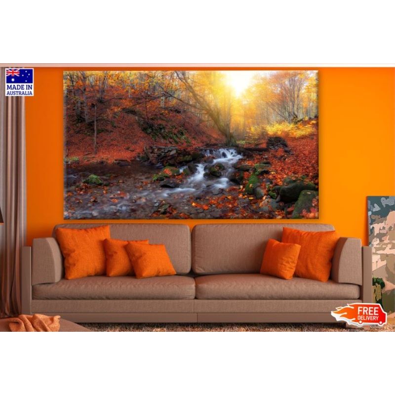 Autumn Forest with Water Stream Photograph Print 100% Australian Made
