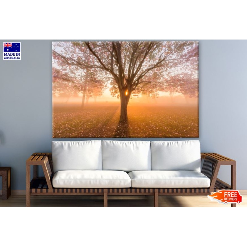Autumn Trees Forest Photograph Print 100% Australian Made