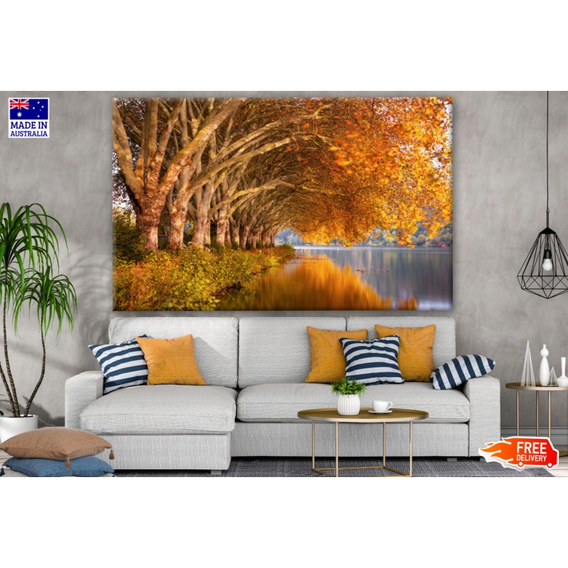 Autumn Trees & Leaves Near Lake Photograph Print 100% Australian Made