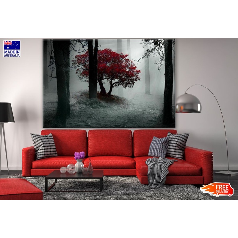 B&W Trees with Red Leaves in a Misty Forest Photograph Print 100% Australian Made