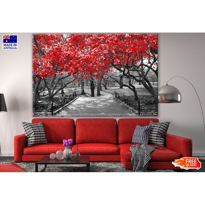 B&W Trees with Red Leaves Photograph Print 100% Australian Made