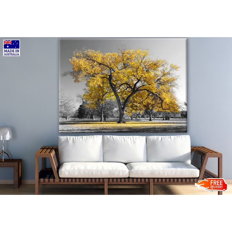 B&W Trees with Yellow Leaves Photograph Print 100% Australian Made