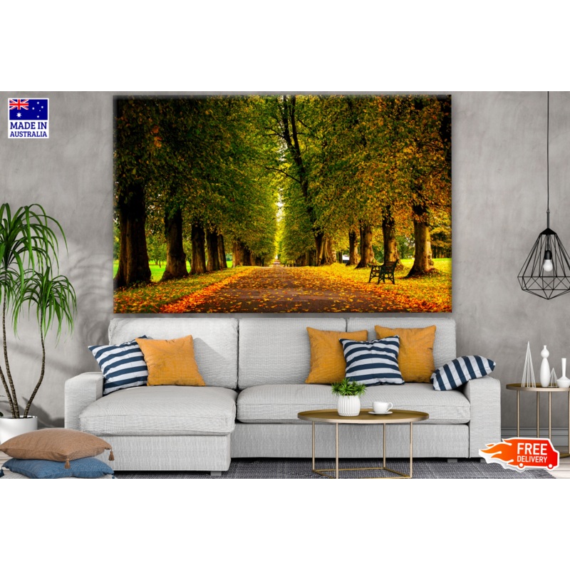Beautiful Autumn Tree Forest Natural Scenery Photograph Print 100% Australian Made
