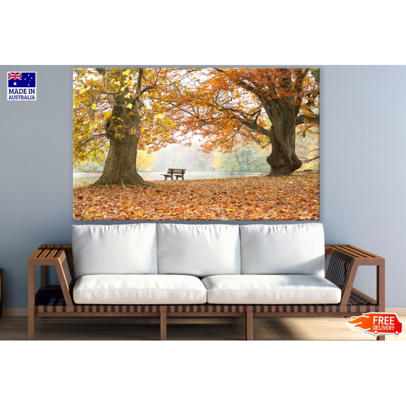 Bench Under Two Huge Autumn Trees Photograph Print 100% Australian Made