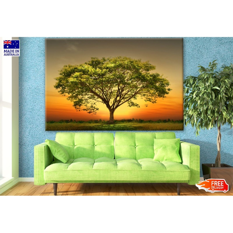 Tree at Sunset Photograph Print 100% Australian Made