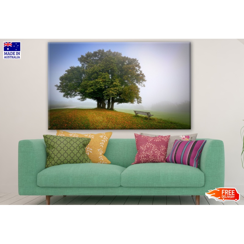 Tree & Bench on a Mountain Slope Stunning View Photograph Print 100% Australian Made