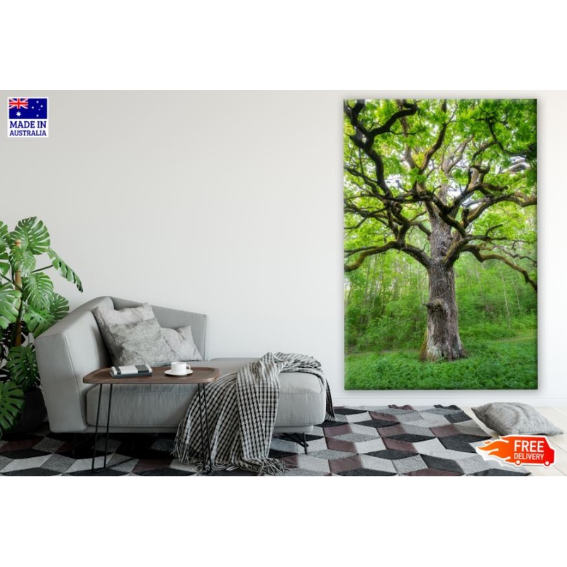Tree Closeup in Forest Photograph Print 100% Australian Made