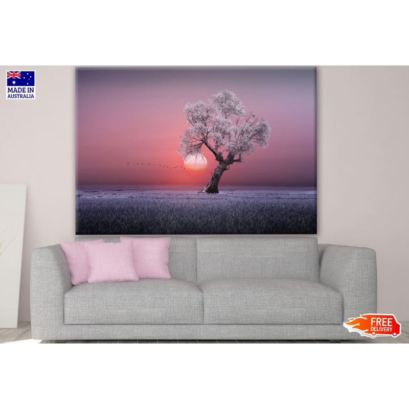 Tree on a Grass Field with Sunset View Photograph Print 100% Australian Made