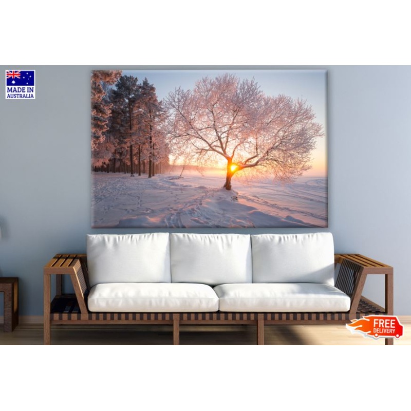 Tree on Snow Sunset Photograph Print 100% Australian Made