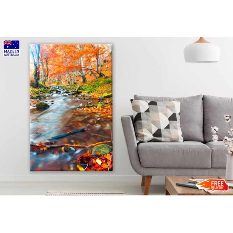 Waterstream in Autumn Forest Photograph Print 100% Australian Made