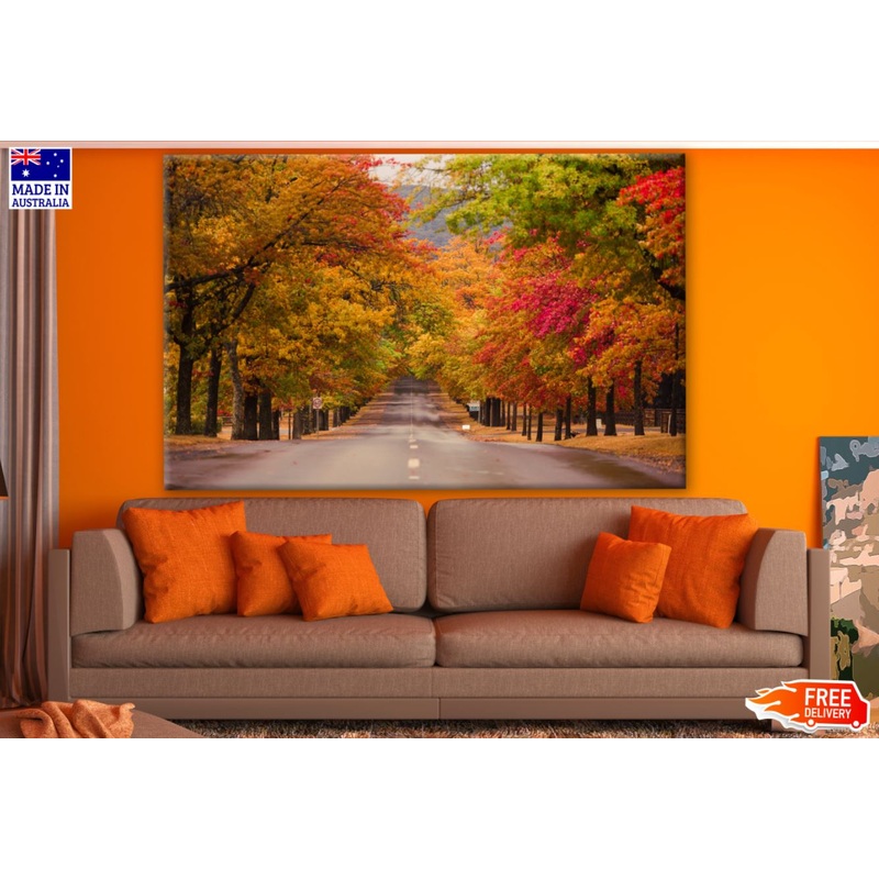 Autumn Forest Photograph Print 100% Australian Made