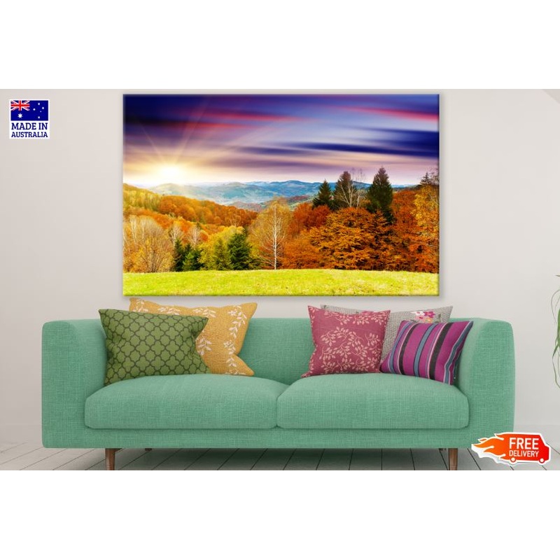 Autumn Forest Scenery Photograph Print 100% Australian Made