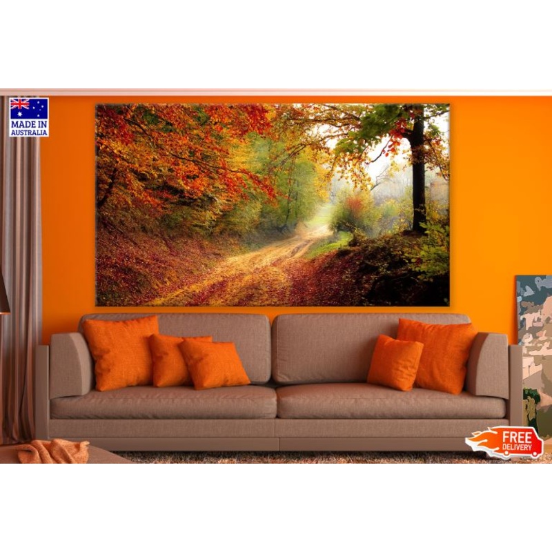 Autumn Forest Scenic View Photograph Print 100% Australian Made