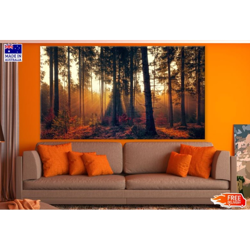 Autumn Forest Sunset Photograph Print 100% Australian Made