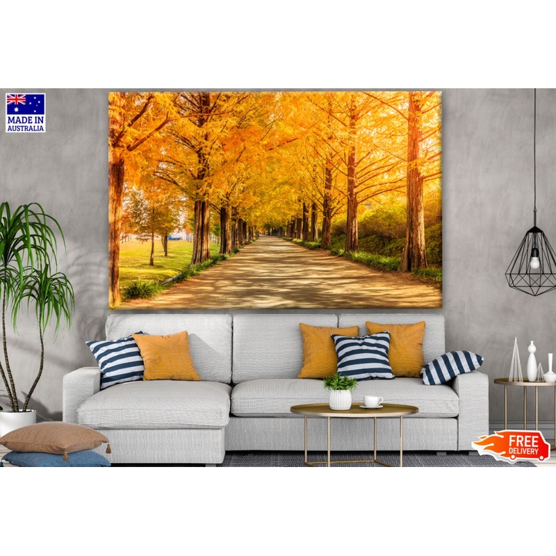 Autumn Tree Park Photograph Print 100% Australian Made