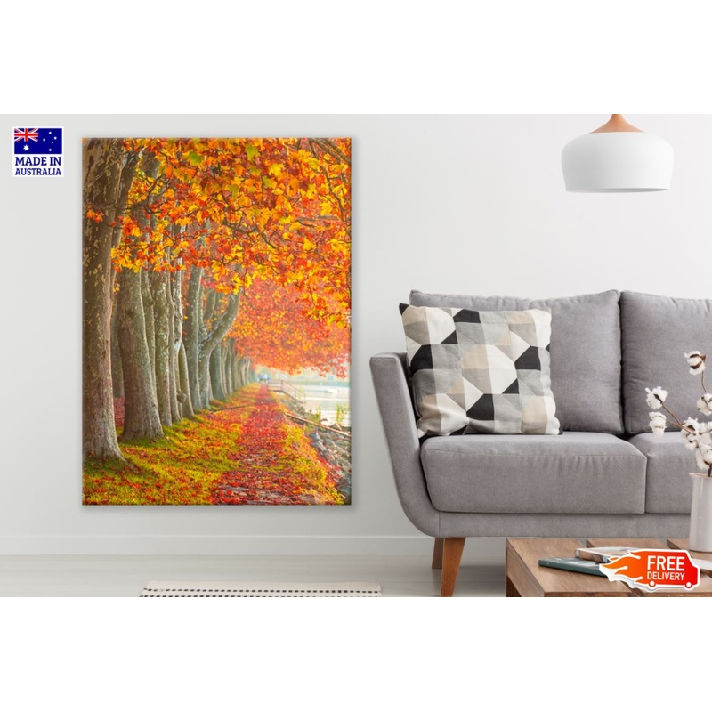 Autumn Tree Row Photograph Print 100% Australian Made