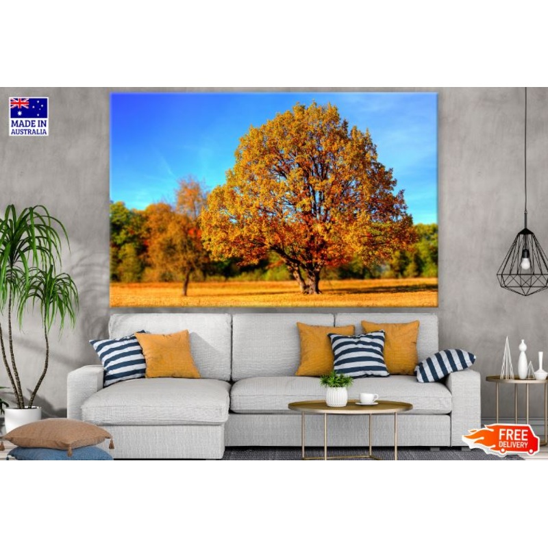 Autumn Trees Forest Scenery Photograph Print 100% Australian Made
