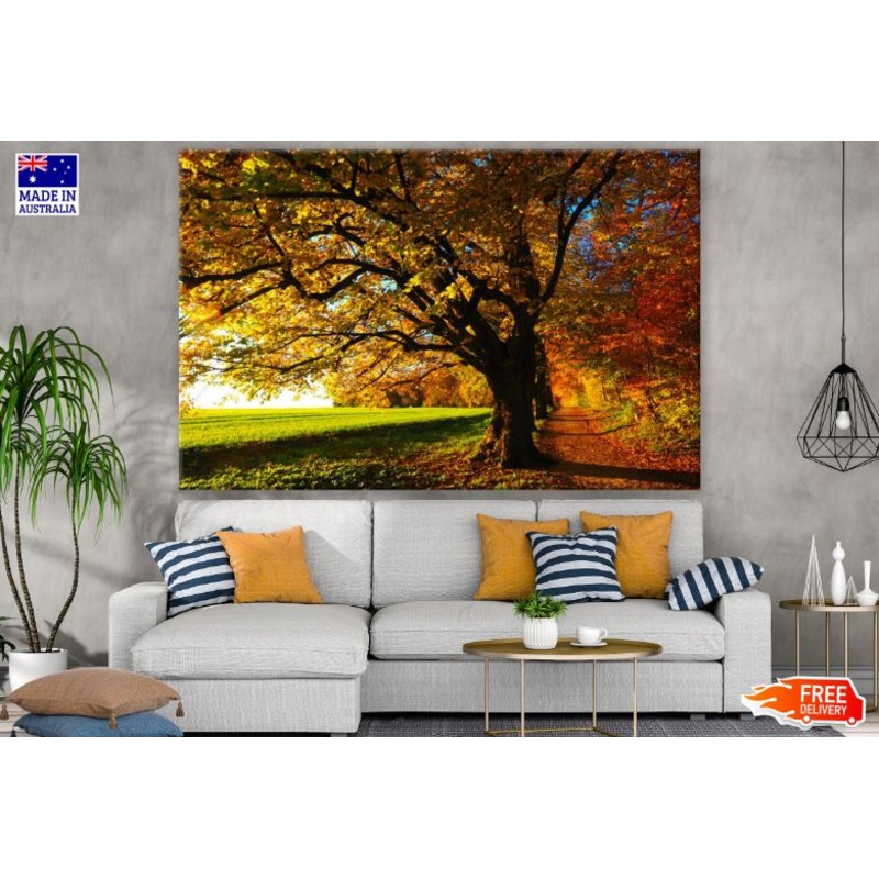 Autumn Trees Row Photograph Print 100% Australian Made