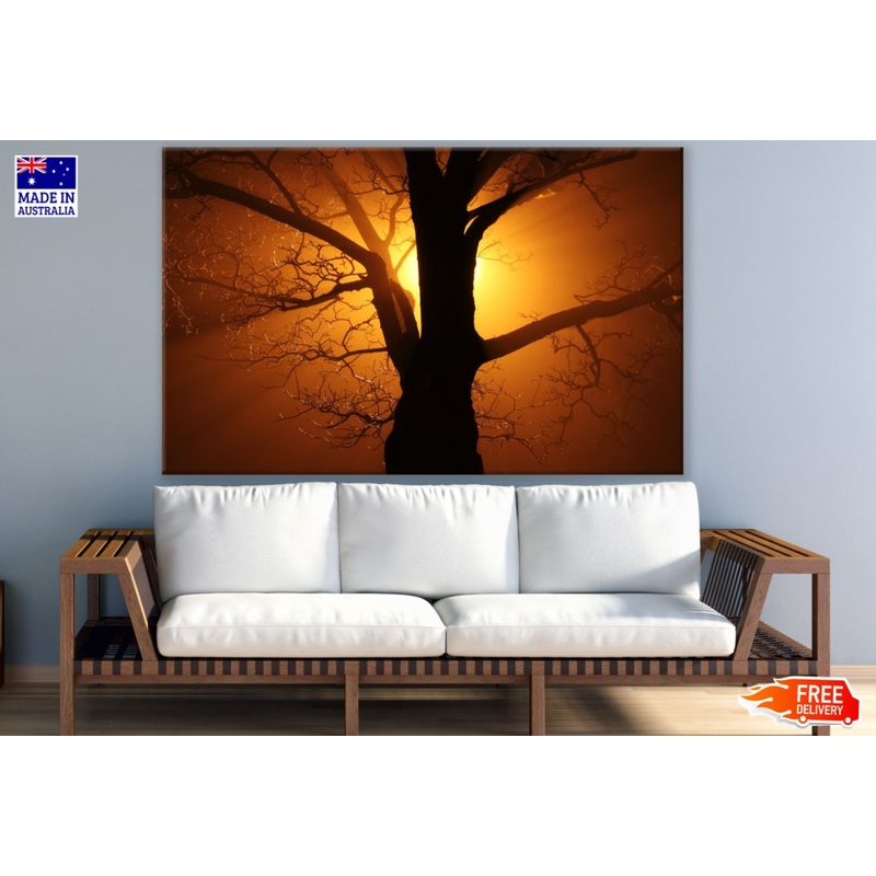 Tree at Sunset Scenery Photograph Print 100% Australian Made