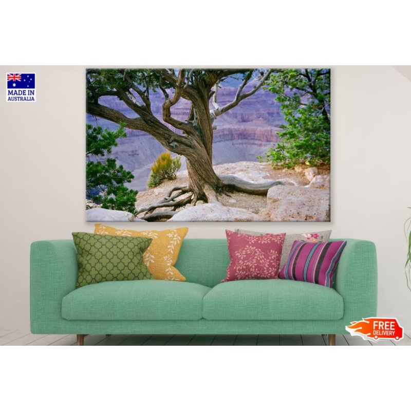 Tree on Mountain Photograph Print 100% Australian Made