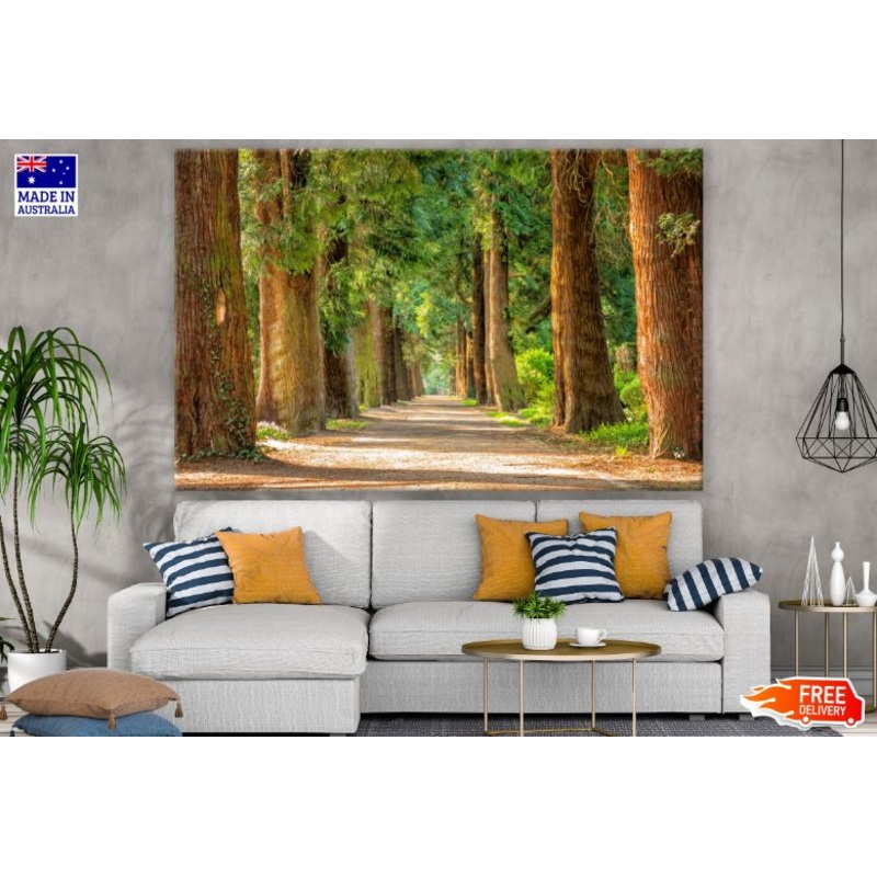 Trees Along a Road Photograph Print 100% Australian Made
