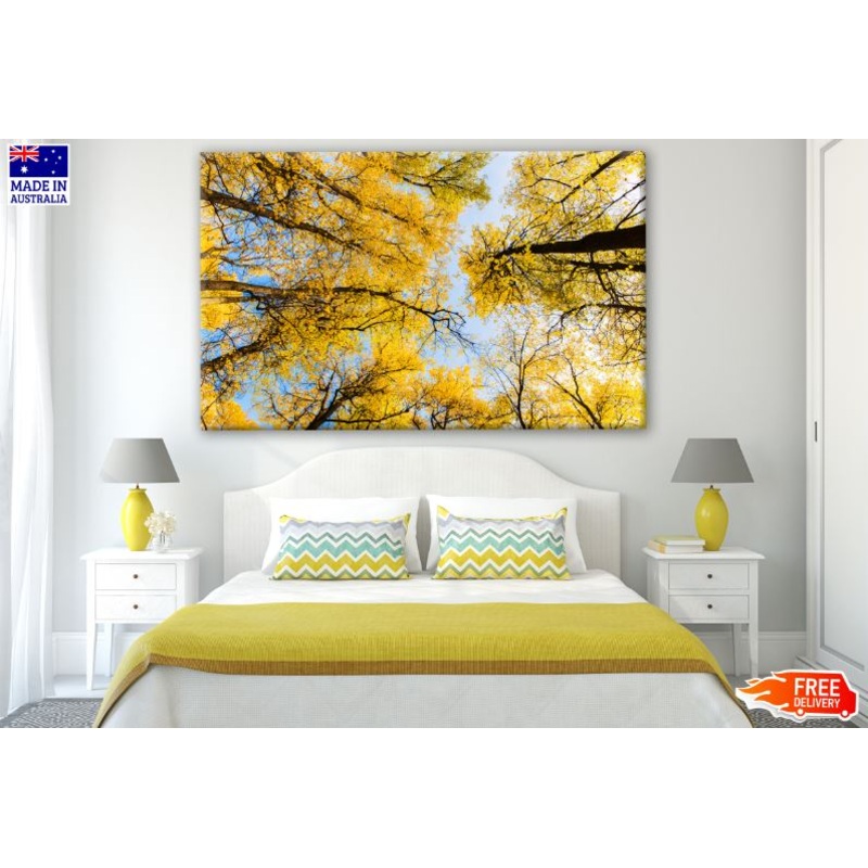 Yellow Leaves Tree Forest View from Ground Photograph Print 100% Australian Made