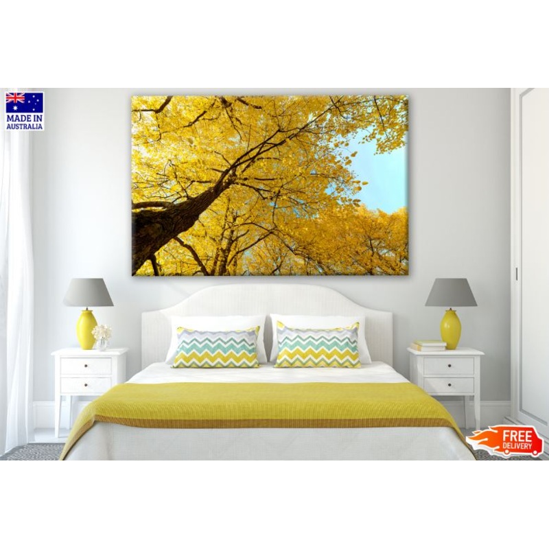 Yellow Tree View from Ground Photograph Print 100% Australian Made