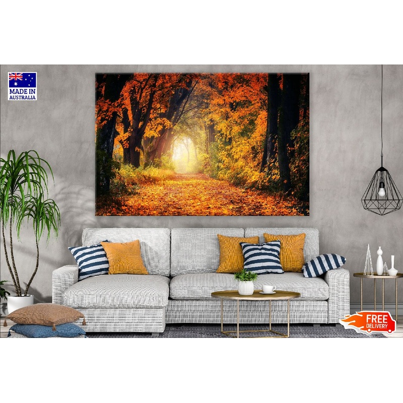 Autumn Forest in Sunset Scenery Photograph Print 100% Australian Made