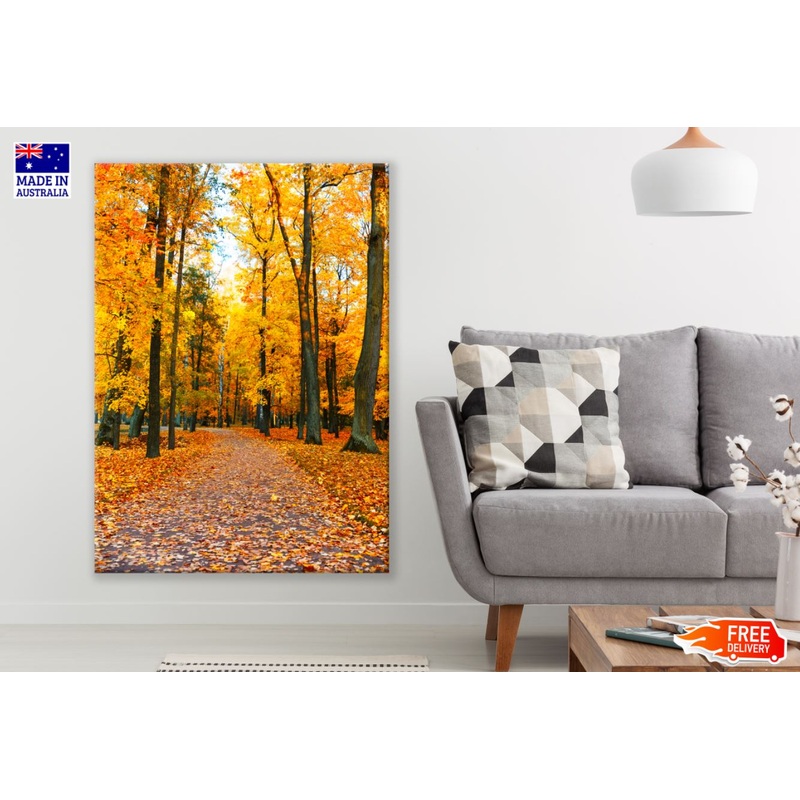 Autumn Forest Road Photograph Print 100% Australian Made
