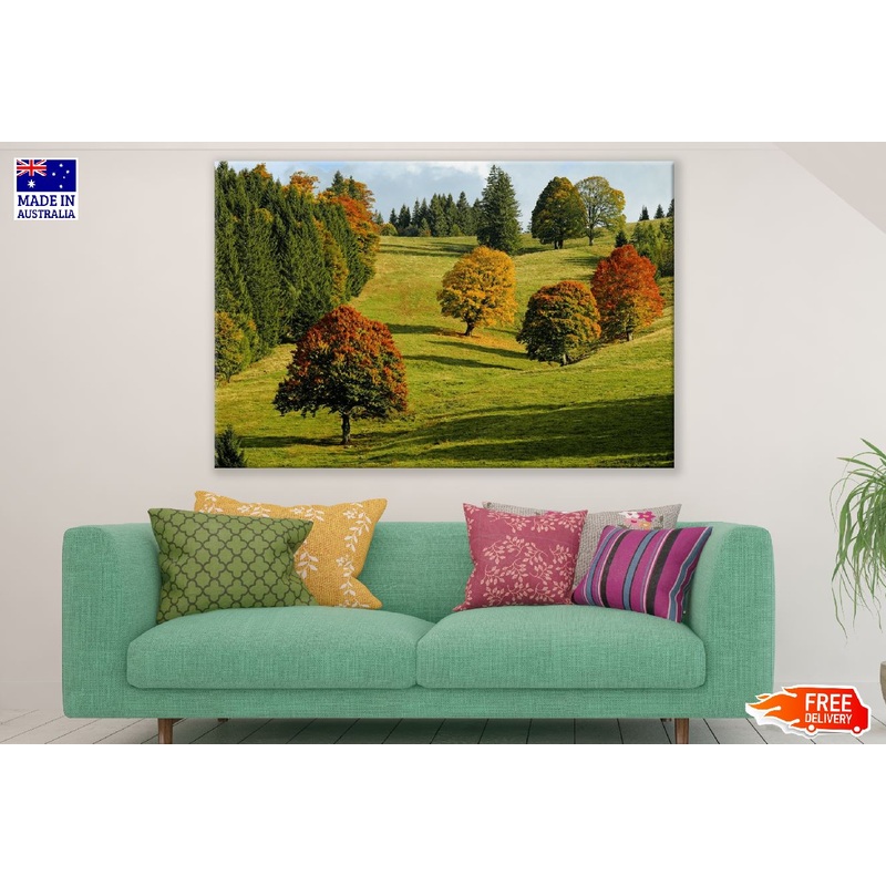 Autumn Forest Trees Fall Foliage Photograph Print 100% Australian Made