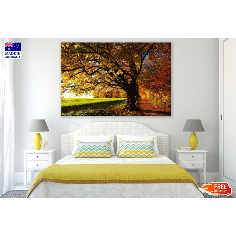 Autumn Linden Trees on a Sunny Photograph Print 100% Australian Made