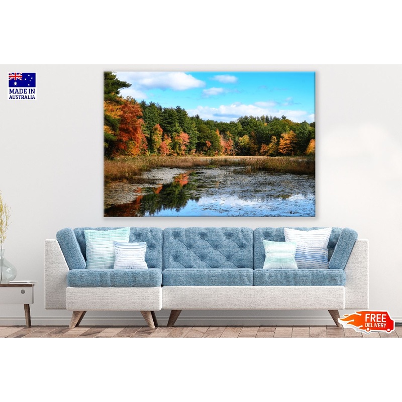 Autumn Tree Forest Landscape Photograph Print 100% Australian Made