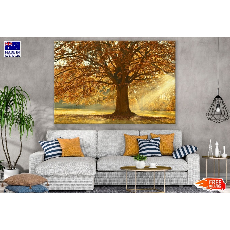Autumn Tree Sunset Photograph Print 100% Australian Made