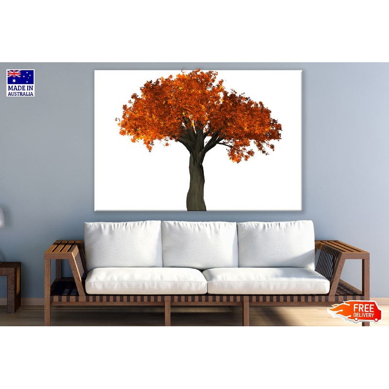 Autumn Tree Transparent Print 100% Australian Made