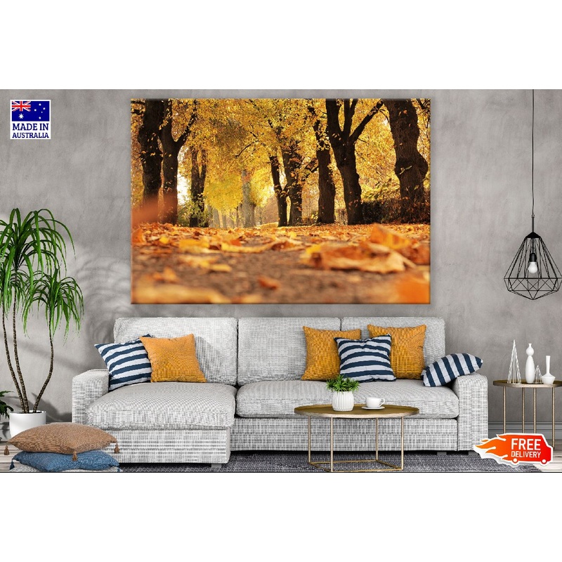 Autumn Trees Scenery Photograph Print 100% Australian Made