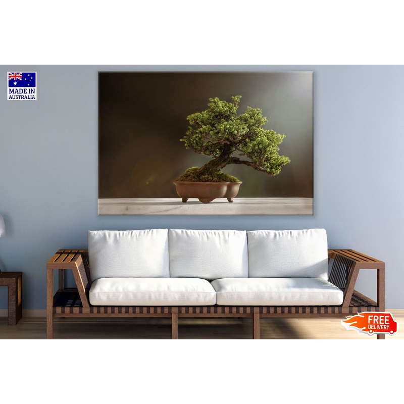 Bonsai Tree Photograph Print 100% Australian Made